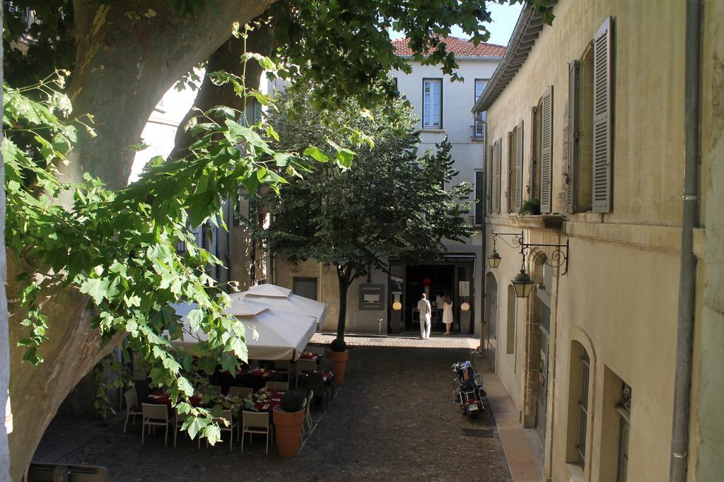 Studios Entre Le Pont D' Avignon Et Le Palais Des Papes Exterior foto